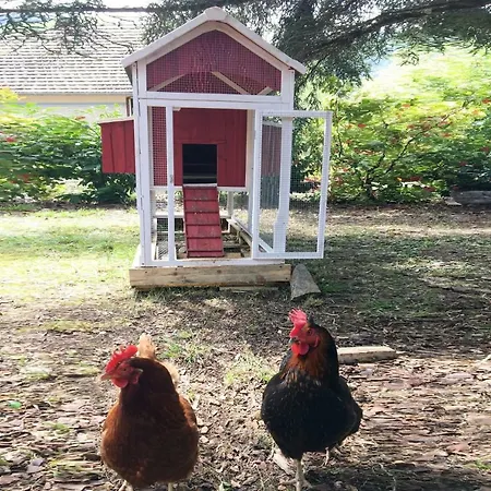 לינה וארוחת בוקר La Muse